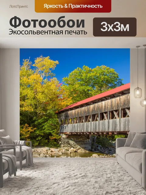 Фотообои Крытый мост Олбани