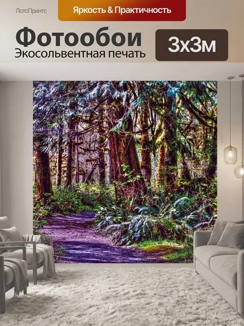 Фотообои Лесная тропинка
