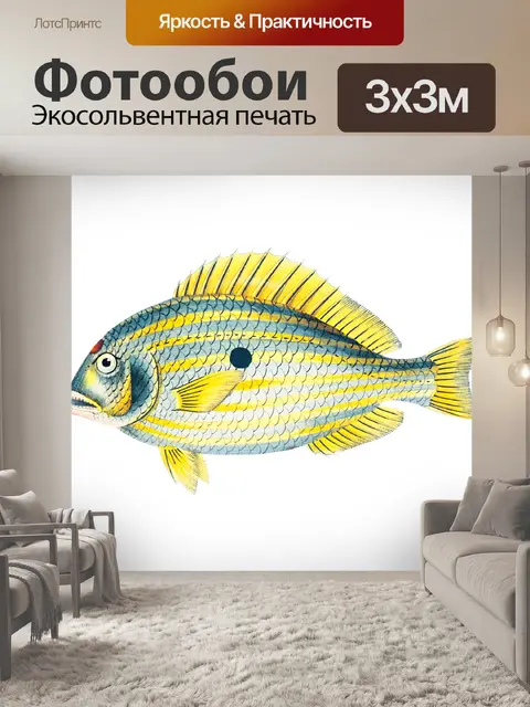 Фотообои Клипарт рыба винтаж нарисованная
