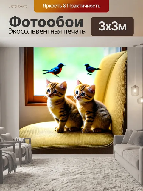 Фотообои котята, сидящие на стуле, смотрящие на птичек за окном