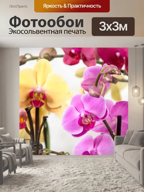 Фотообои Орхидея