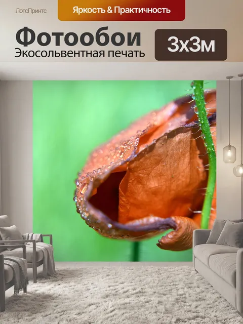 Фотообои Мак