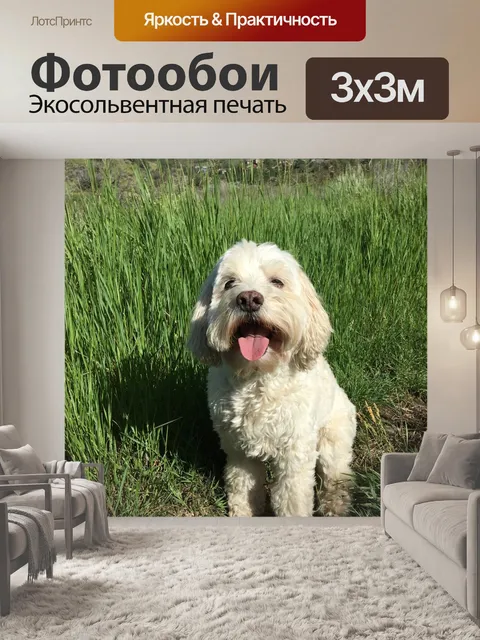 Фотообои Щенок