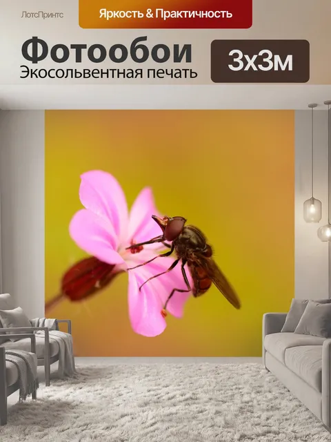 Фотообои Летать