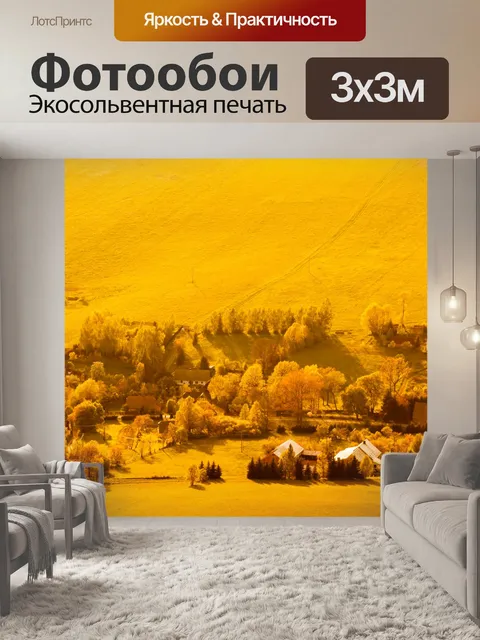 Фотообои Аэрофотосъемка деревне