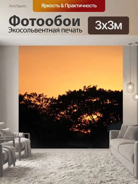 Фотообои Верхушках деревьев