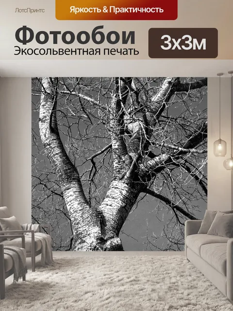 Фотообои Дерево березы