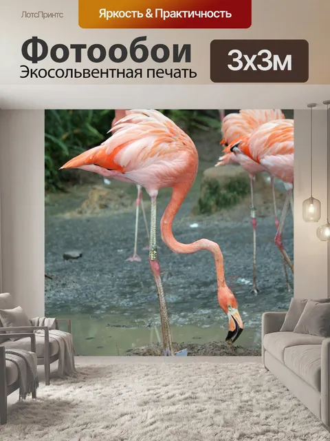 Фотообои Фламинго в поисках пищи