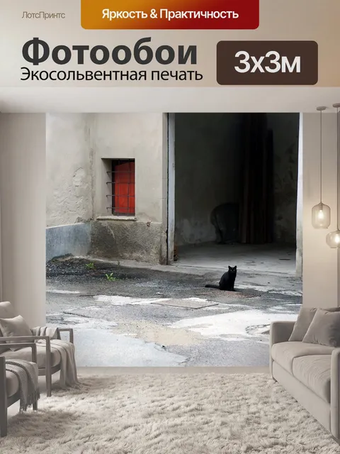 Фотообои Черная кошка