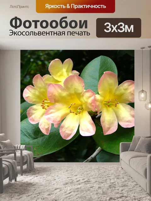 Фотообои Цветок