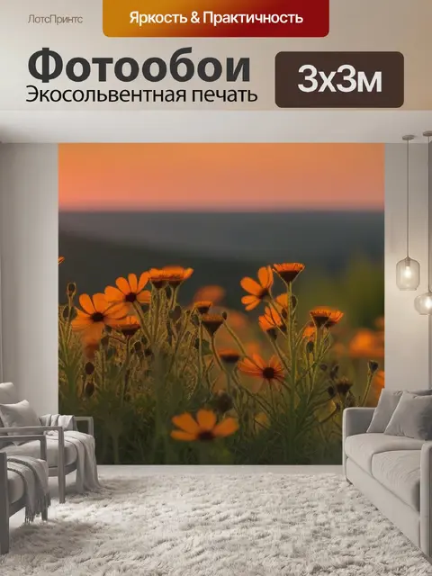 Фотообои полевые цветы во время заката