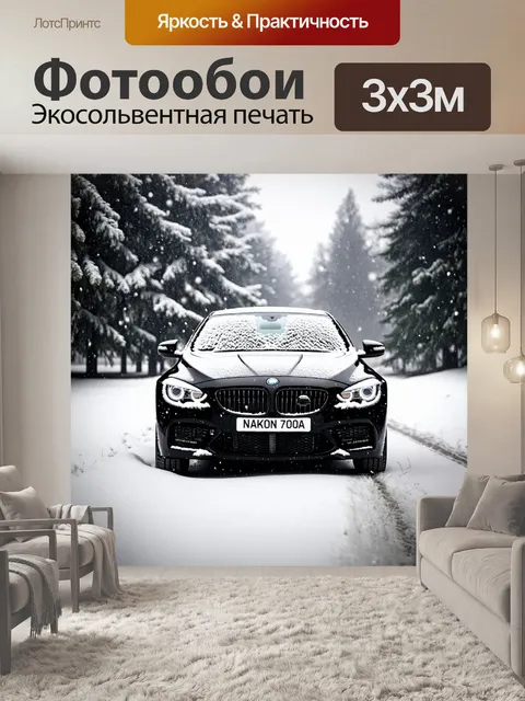 Фотообои машина в стиле черно-белый с зимним пейзажем и автомобилем на фоне снегопада