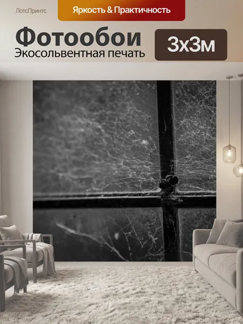 Фотообои паутина