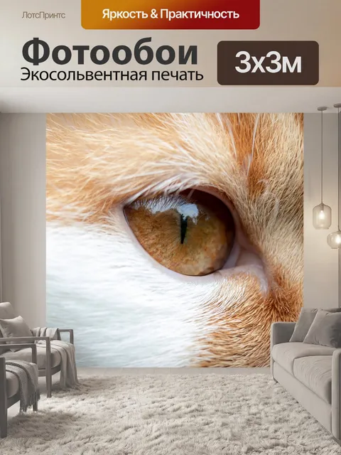 Фотообои Кот