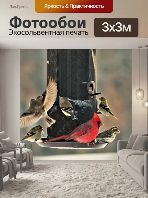 Фотообои Кардинал и Щегол на кормушке