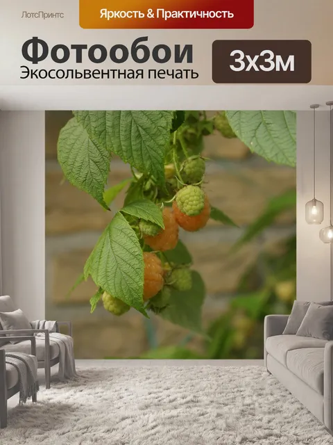 Фотообои Лист