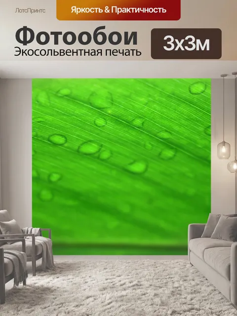 Фотообои Капли воды с подсветкой зеленого листа