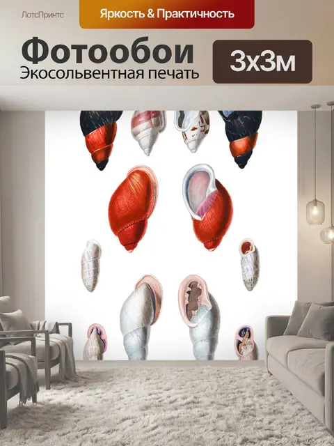 Фотообои Винтажное искусство из ракушек