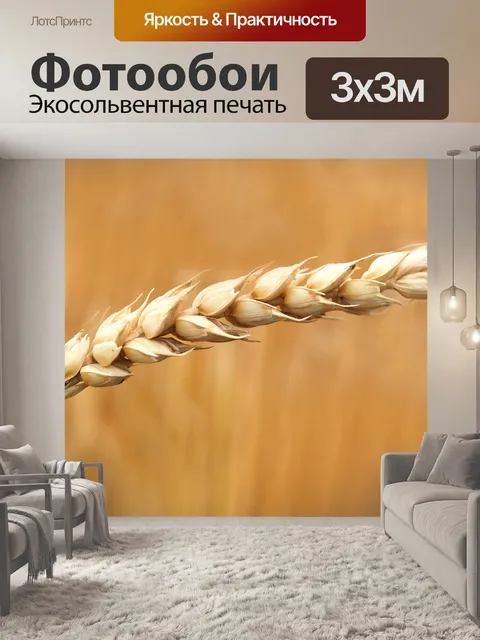 Фотообои Пшеничный колос