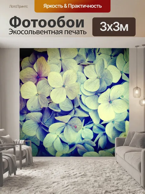 Фотообои Красивый цветок
