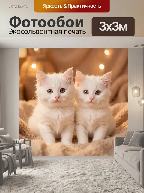 Фотообои Два белых котёнка с нежным взглядом