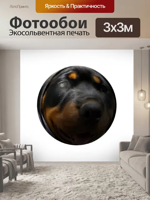 Фотообои Щенок ротвейлера