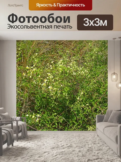 Фотообои куст с белыми бутонами и цветами