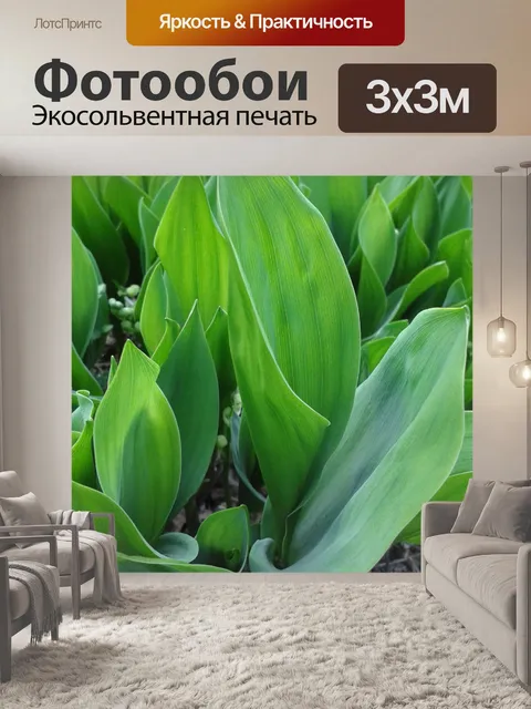 Фотообои Ландыш