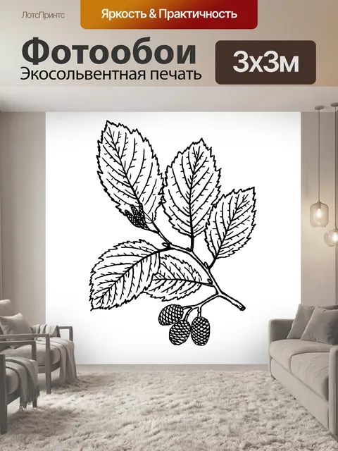Фотообои Лист Ольги Клипарт