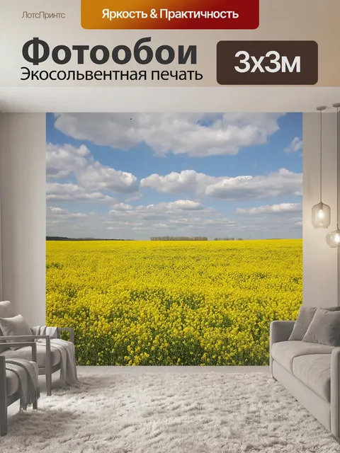 Фотообои Рапс