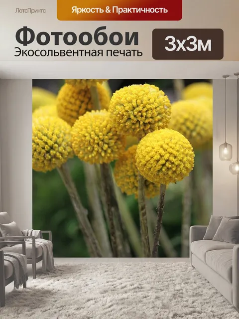 Фотообои Билли боллс