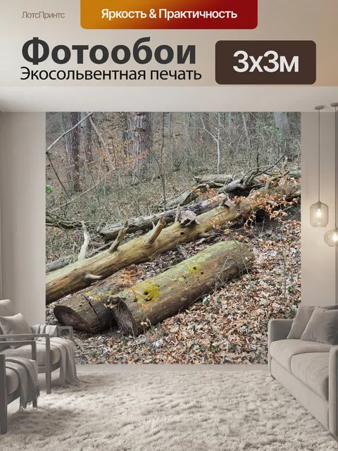 Фотообои Сухостой