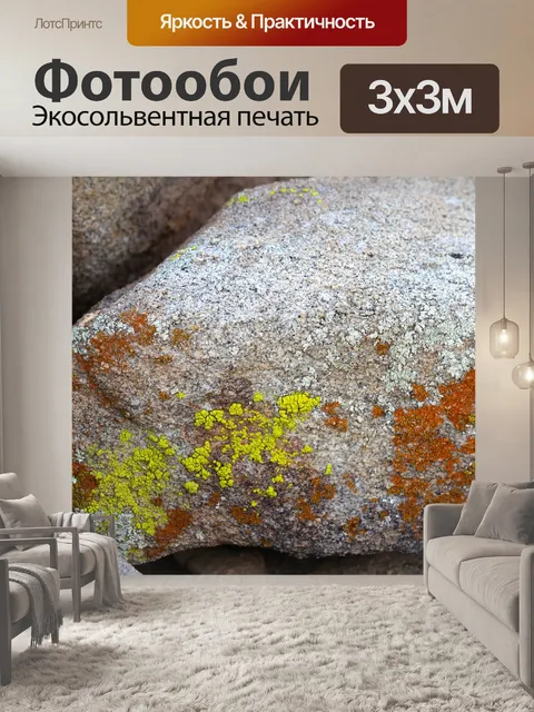 Фотообои Лишайник