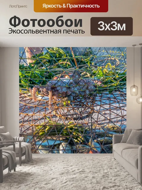 Фотообои Рыбы