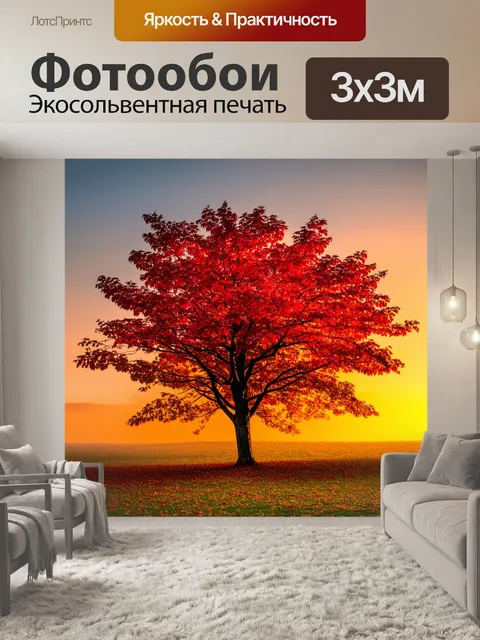 Фотообои дерево с красными листьями, стоящее на фоне осеннего заката, создающее ощущение романтики и тепла