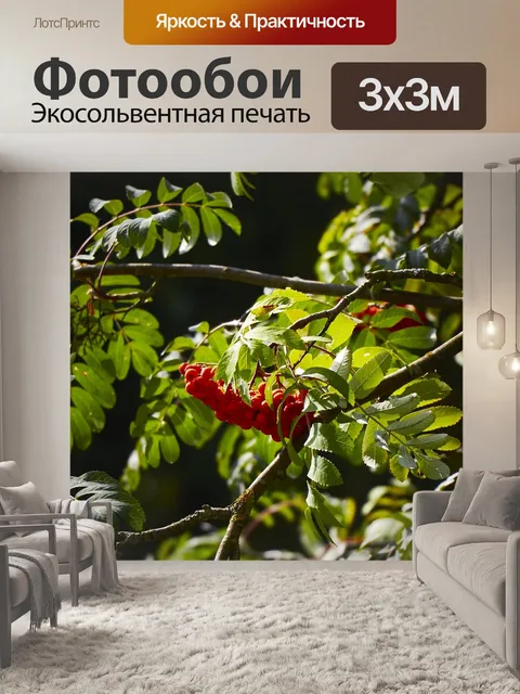 Фотообои Рябина
