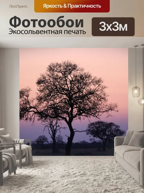 Фотообои Африка закат