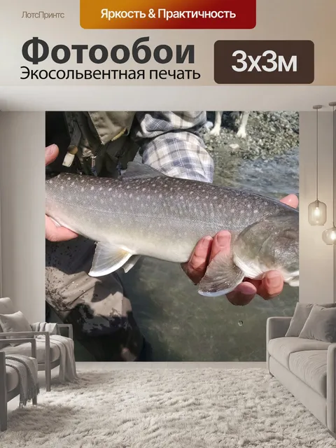 Фотообои Форель