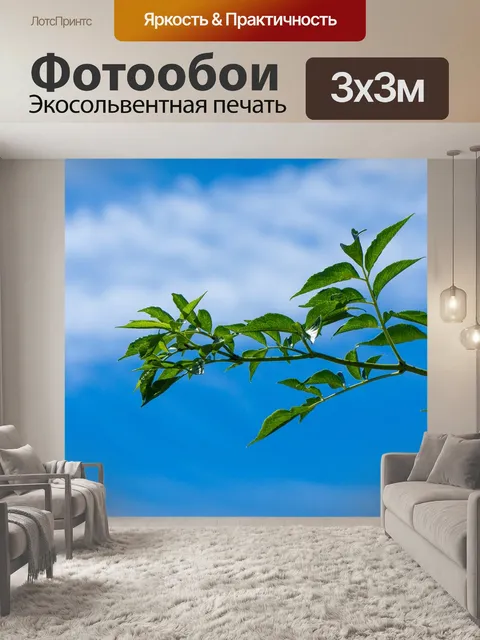 Фотообои Листья