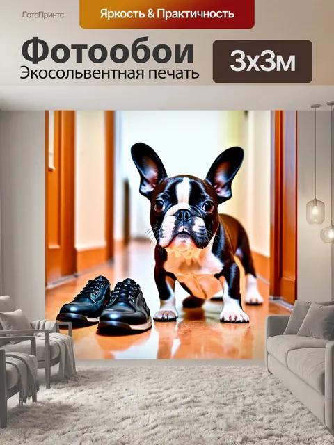 Фотообои щенок бостон-терьера, с забавными ушками и игривыми манерами, ворующий обувь в коридоре