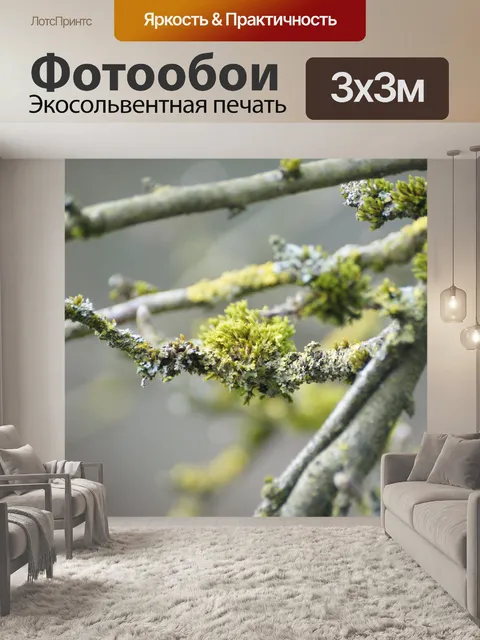Фотообои Моховой лишайник крупным планом