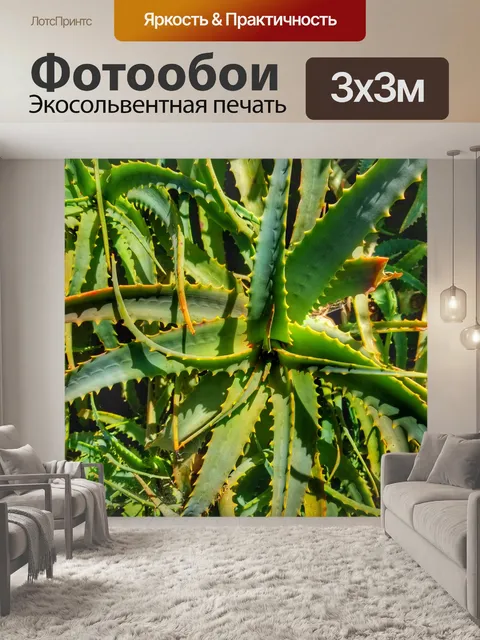 Фотообои Ярко-зеленый завод Юкка