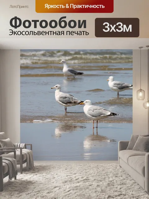 Фотообои Серебристые чайки