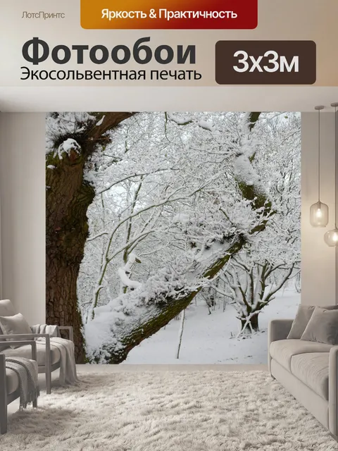 Фотообои Снежная зима