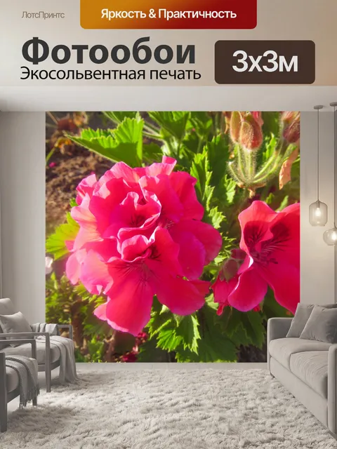 Фотообои розовые средиземноморские цветы