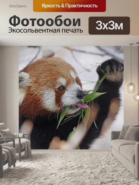 Фотообои Милый