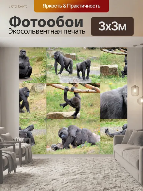 Фотообои Горилла Коллаж 1