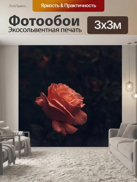 Фотообои Роза