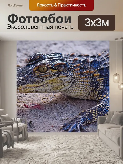 Фотообои Аллигатор
