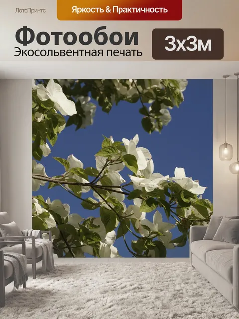 Фотообои Листья
